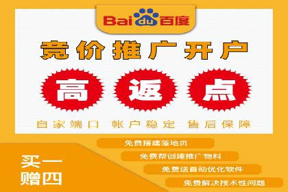 低成本高回报：百度竞价代理成功案例分析